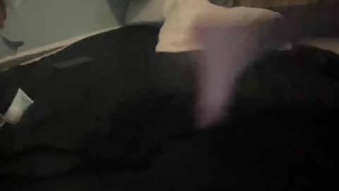 Snapshot of melt13 chatting on October 13, 2025, 12:05 pm melt13 online show from October 13, 2025, 12:05 pm