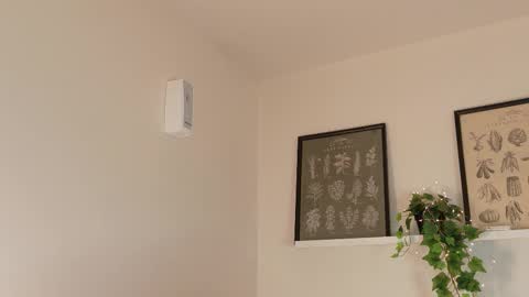  Memphis Williams  online show from February 17, 2026, 4:20 am