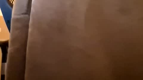 DutchFun Cock online show from January 6, 2026, 4:32 pm