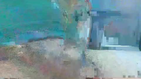 Manuke online show from December 1, 2024, 11:36 pm