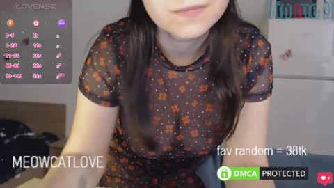 meowcatlove online show from January 26, 2025, 8:02 pm