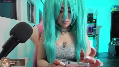 meowmelf online show from December 2, 2025, 1:00 am