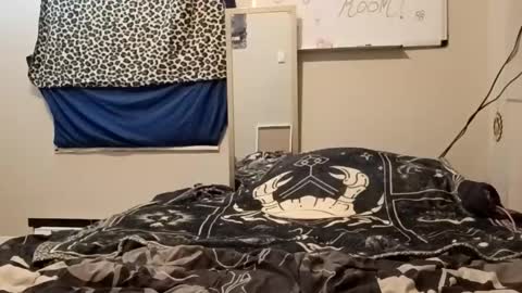 Snapshot of mercedesmakesyoucum6999 chatting on May 12, 2026, 3:03 am mercedesmakesyoucum6999 online show from May 12, 2026, 3:03 am