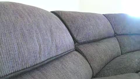 mexianthehawk online show from January 18, 2026, 9:29 pm