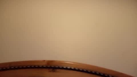 mhorny5 online show from September 14, 2025, 8:41 pm