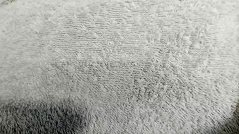 Mia online show from April 20, 2026, 2:14 am