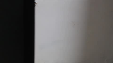 Mia Sepulveda online show from January 22, 2025, 4:02 am