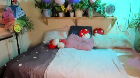 Miaa online show from February 3, 2026, 6:24 pm