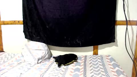 Mia  Sam online show from December 16, 2025, 4:01 pm