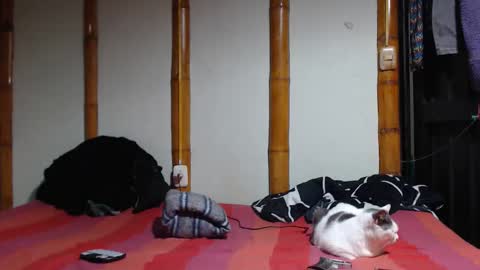 Mia  Sam online show from March 7, 2026, 10:18 pm