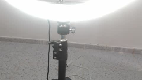 Michell Vargas online show from January 23, 2025, 2:17 pm