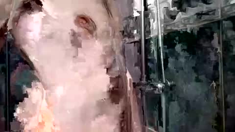 mickavis1975 online show from January 1, 2025, 5:55 pm