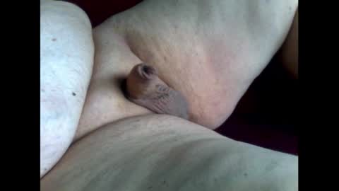 micropimmel online show from October 11, 2025, 1:31 pm