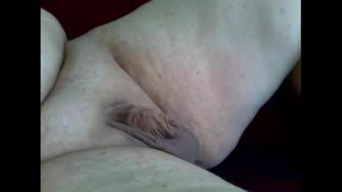 micropimmel online show from November 2, 2025, 1:02 pm