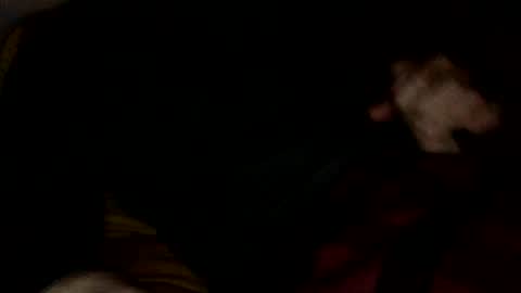 midiin online show from December 10, 2024, 5:39 am