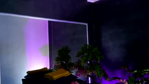 Alice online show from February 13, 2025, 8:38 am