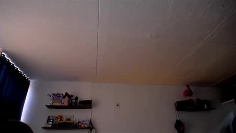 Pola  INDEPENDENT MODEL online show from March 3, 2025, 3:42 pm