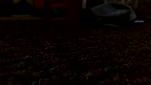 Snapshot of miguel320129 chatting on December 24, 2024, 5:55 pm Miggy online show from December 24, 2024, 5:55 pm