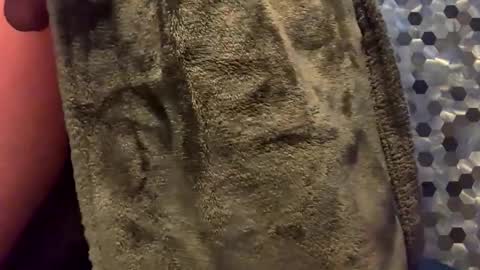 MiguelBlu2 online show from February 8, 2026, 3:54 am