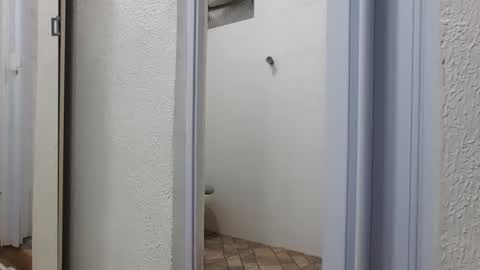 mike11343 online show from March 6, 2026, 5:53 pm