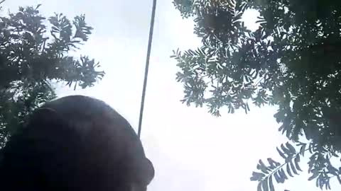 Snapshot of miky17cm chatting on January 12, 2026, 7:41 pm miky17cm online show from January 12, 2026, 7:41 pm