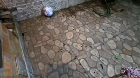 Snapshot of miky17cm chatting on January 15, 2026, 5:01 am miky17cm online show from January 15, 2026, 5:01 am