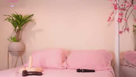    online show from October 23, 2025, 12:15 pm