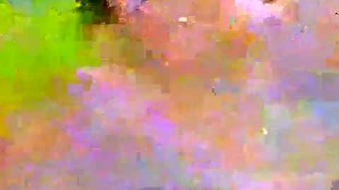 millhill17 online show from January 13, 2026, 12:38 am