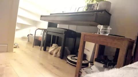 Milu online show from March 5, 2025, 3:40 am