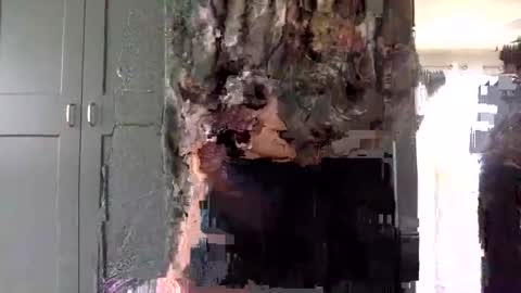 Snapshot of mince_alors chatting on November 24, 2025, 5:34 pm mince_alors online show from November 24, 2025, 5:34 pm