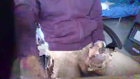 minoas31 online show from February 13, 2025, 9:41 am