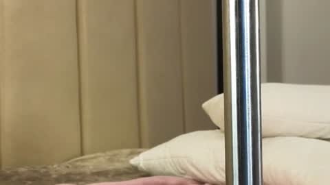 Snapshot of misatosan_ chatting on January 11, 2025, 1:11 pm Annie dont forget to thumbs up me online show from January 11, 2025, 1:11 pm