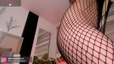 Catalina online show from April 1, 2026, 1:41 pm