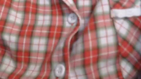 Elis online show from December 5, 2025, 2:03 pm