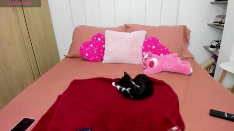 missangeldust online show from November 28, 2025, 12:41 pm