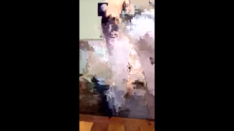 missb901 online show from March 14, 2026, 9:15 am