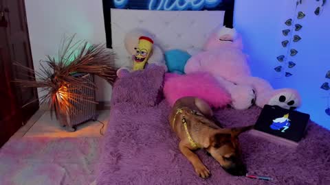 Snapshot of misstexass_ chatting on December 4, 2024, 6:06 pm  Natalie Texass indepedent model online show from December 4, 2024, 6:06 pm