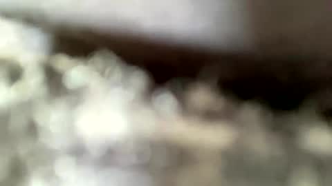 mistajay90 online show from September 8, 2025, 4:06 pm