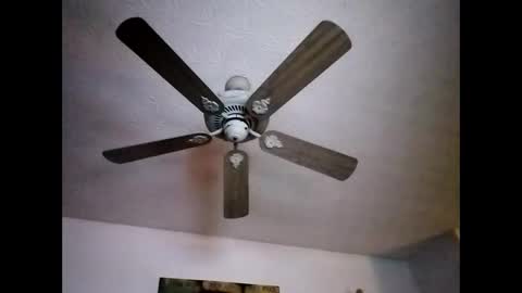 BobbyMitchGa online show from December 22, 2024, 12:05 pm