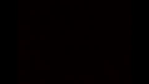 BobbyMitchGa online show from January 28, 2025, 7:00 pm