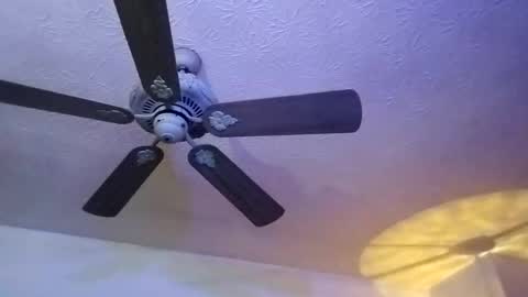 BobbyMitchGa online show from February 12, 2025, 12:44 pm