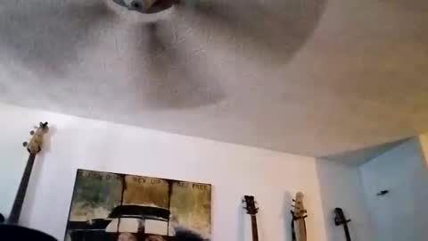 BobbyMitchGa online show from September 14, 2025, 6:18 pm