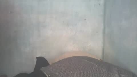 Snapshot of mitsh838354425 chatting on July 11, 2026, 11:24 am mitsh838354425 online show from July 11, 2026, 11:24 am