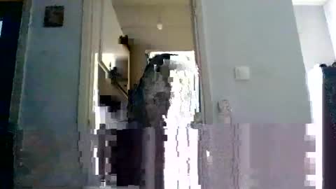 Snapshot of mmpempis81 chatting on February 22, 2025, 7:12 am mmpempis81 online show from February 22, 2025, 7:12 am