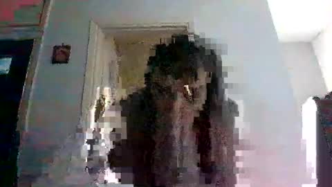 Snapshot of mmpempis81 chatting on February 25, 2025, 6:47 am mmpempis81 online show from February 25, 2025, 6:47 am