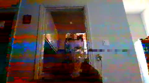 Snapshot of mmpempis81 chatting on March 9, 2025, 4:11 pm mmpempis81 online show from March 9, 2025, 4:11 pm