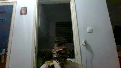 Snapshot of mmpempis81 chatting on September 28, 2025, 7:08 pm mmpempis81 online show from September 28, 2025, 7:08 pm