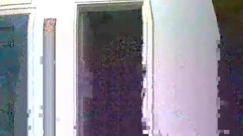 Snapshot of mmpempis81 chatting on October 1, 2025, 5:30 pm mmpempis81 online show from October 1, 2025, 5:30 pm