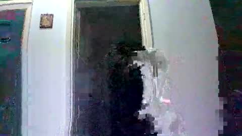 Snapshot of mmpempis81 chatting on October 9, 2025, 6:17 pm mmpempis81 online show from October 9, 2025, 6:17 pm
