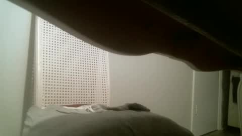 Snapshot of mmrstp chatting on January 2, 2025, 11:41 am mmrstp online show from January 2, 2025, 11:41 am